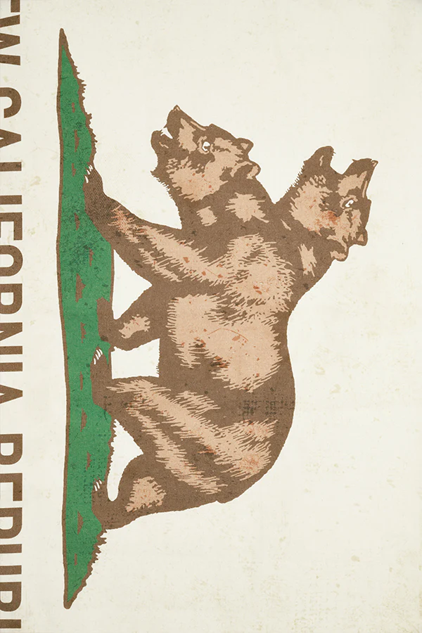 Fallout NCR Canvas Banner - Image 4