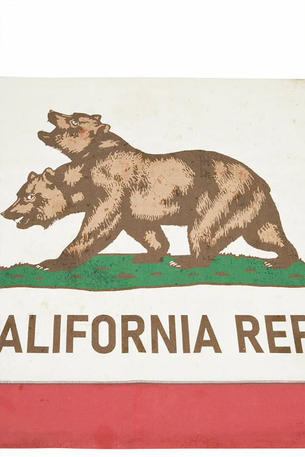 Fallout NCR Canvas Banner - Image 5